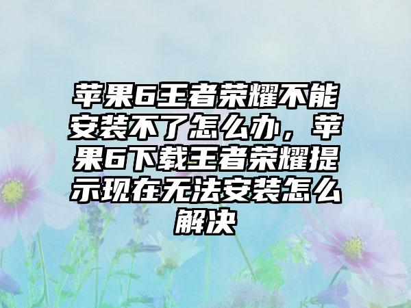 苹果6王者荣耀不能安装不了怎么办，苹果6下载王者荣耀提示现在无法安装怎么解决