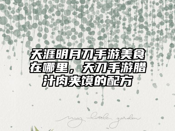 天涯明月刀手游美食在哪里,天刀手游腊汁肉夹馍的配方