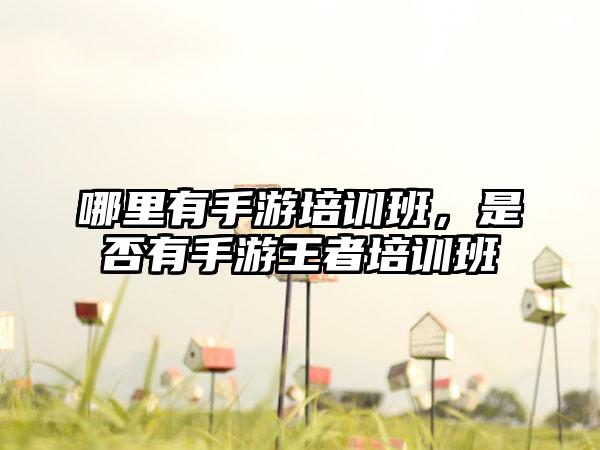 哪里有手游培训班,是否有手游王者培训班