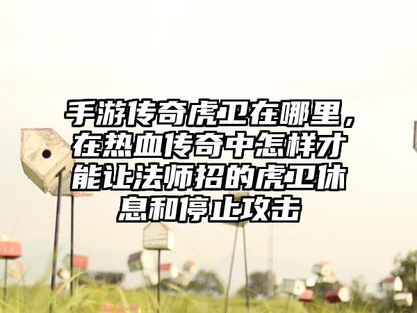 手游传奇虎卫在哪里，在热血传奇中怎样才能让法师招的虎卫休息和停止攻击