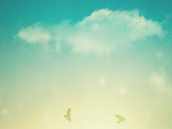 诛仙手游黑节竹在哪里，诛仙 移竹任务黑节竹苗在哪用