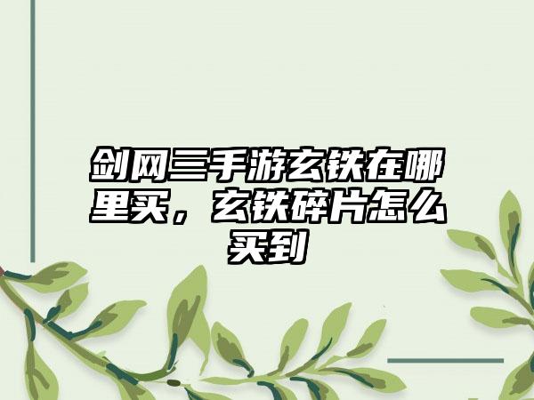 剑网三手游玄铁在哪里买，玄铁碎片怎么买到