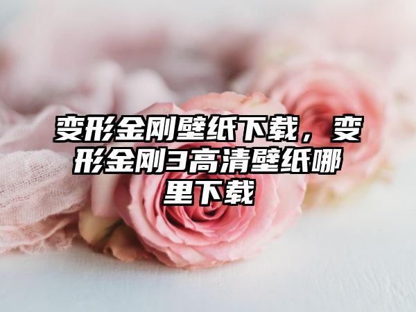 变形金刚壁纸下载，变形金刚3高清壁纸哪里下载