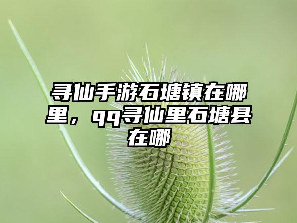 寻仙手游石塘镇在哪里，qq寻仙里石塘县在哪