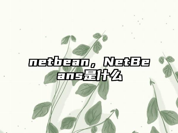 netbean，NetBeans是什么