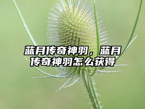 蓝月传奇神羽，蓝月传奇神羽怎么获得
