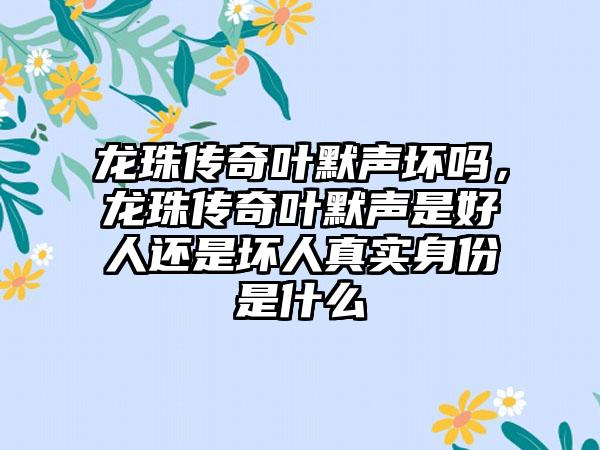 龙珠传奇叶默声坏吗，龙珠传奇叶默声是好人还是坏人真实身份是什么