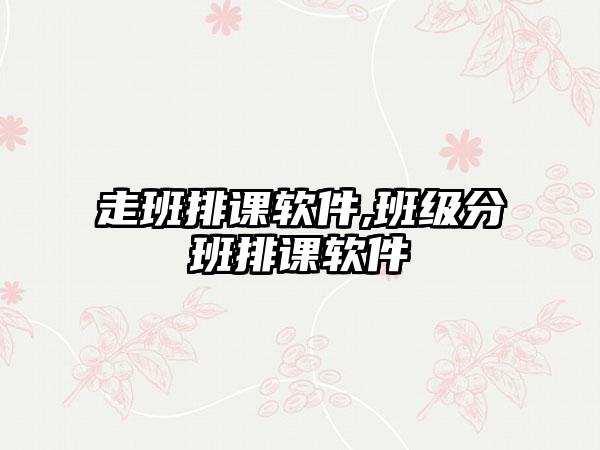 走班排课软件,班级分班排课软件