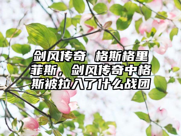 剑风传奇 格斯格里菲斯,剑风传奇中格斯被拉入了什么战团