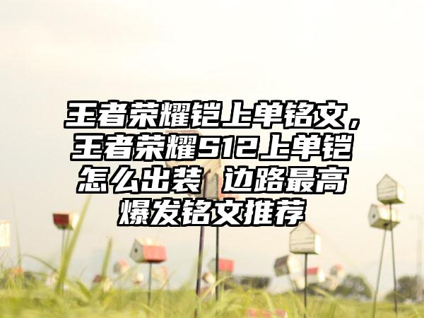 1337语言,踢出一个1337语言普及计划！