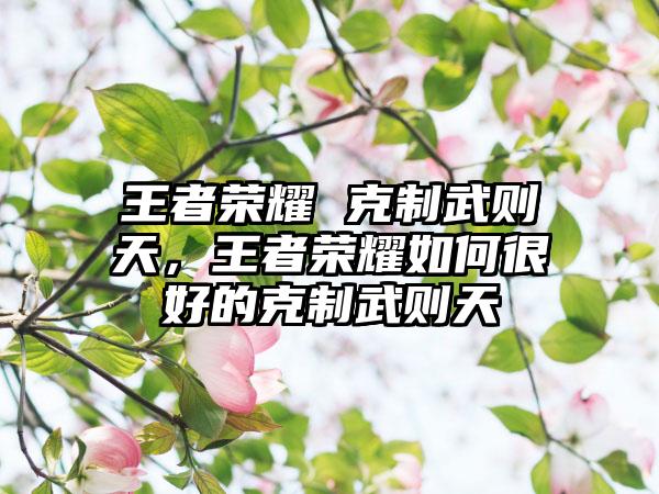 王者荣耀 克制武则天，王者荣耀如何很好的克制武则天