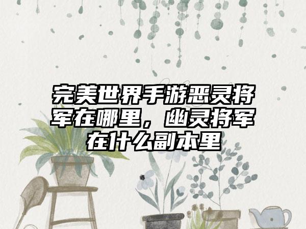 完美世界手游恶灵将军在哪里，幽灵将军在什么副本里