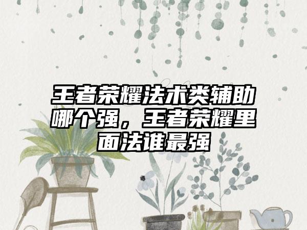 王者荣耀法术类辅助哪个强，王者荣耀里面法谁最强