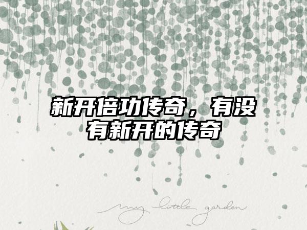 新开倍功传奇，有没有新开的传奇