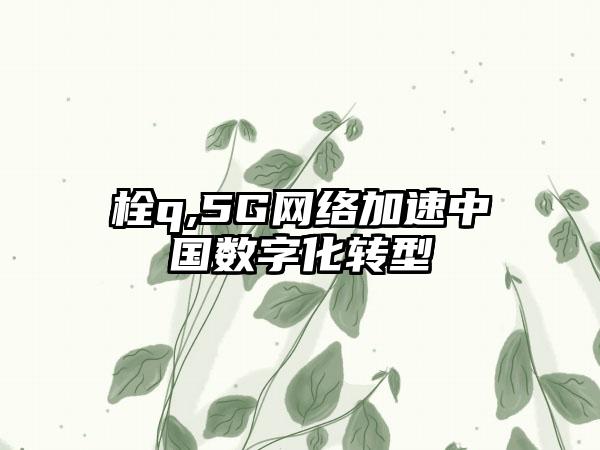 栓q,5G网络加速中国数字化转型