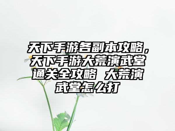 天下手游各副本攻略，天下手游大荒演武堂通关全攻略 大荒演武堂怎么打