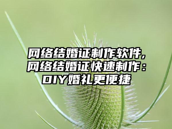 网络结婚证制作软件,网络结婚证快速制作:DIY婚礼更便捷