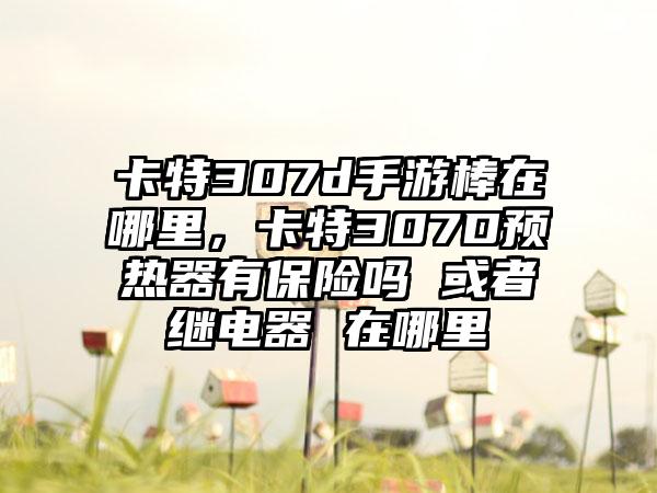卡特307d手游棒在哪里，卡特307D预热器有保险吗 或者继电器 在哪里