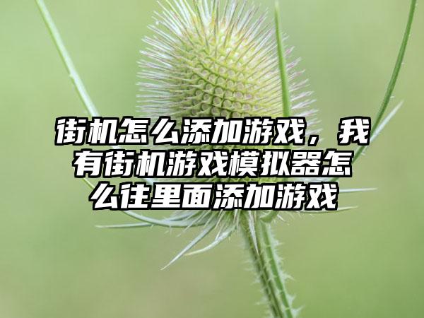 街机怎么添加游戏，我有街机游戏模拟器怎么往里面添加游戏