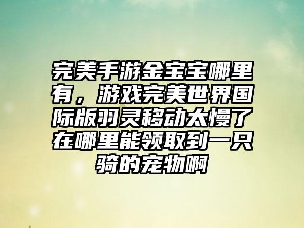 完美手游金宝宝哪里有，游戏完美世界国际版羽灵移动太慢了在哪里能领取到一只骑的宠物啊