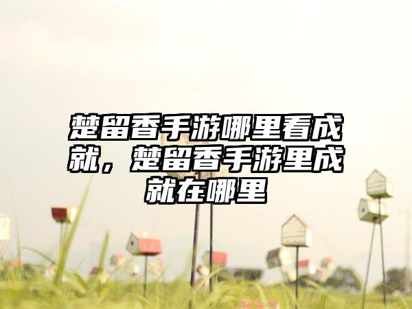 楚留香手游哪里看成就，楚留香手游里成就在哪里