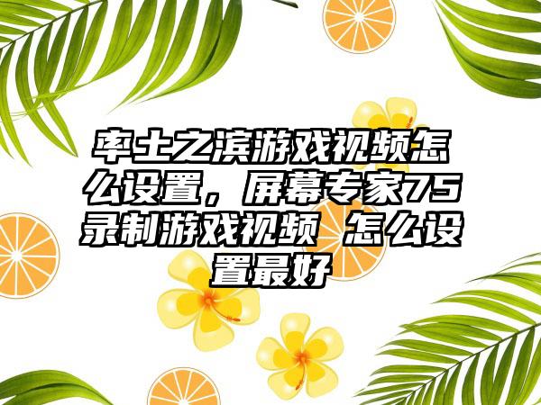 率土之滨游戏视频怎么设置，屏幕专家75录制游戏视频 怎么设置最好