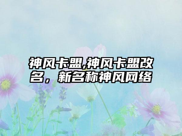 神风卡盟,神风卡盟改名，新名称神风网络