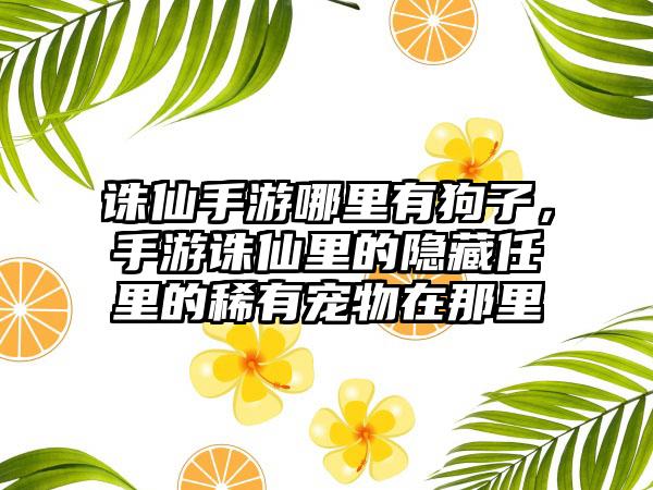 诛仙手游哪里有狗子，手游诛仙里的隐藏任里的稀有宠物在那里