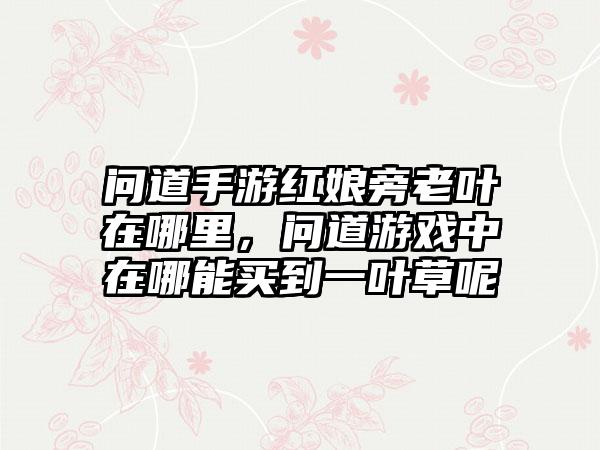 问道手游红娘旁老叶在哪里,问道游戏中在哪能买到一叶草呢