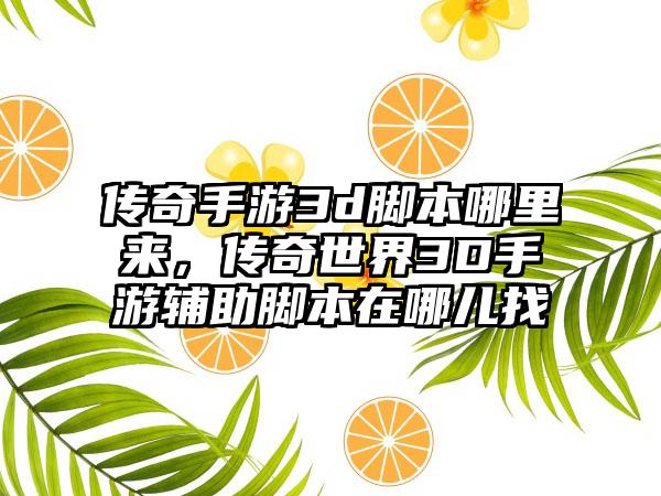 传奇手游3d脚本哪里来，传奇世界3D手游辅助脚本在哪儿找