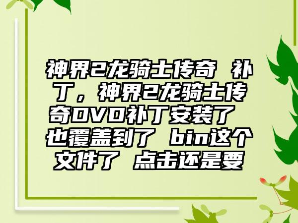 神界2龙骑士传奇 补丁，神界2龙骑士传奇DVD补丁安装了 也覆盖到了 bin这个文件了 点击还是要