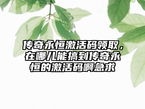 传奇永恒激活码领取，在哪儿能搞到传奇永恒的激活码啊急求