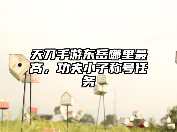 天刀手游东岳哪里最高，功夫小子称号任务