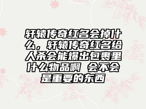 轩辕传奇红名会掉什么，轩辕传奇红名给人杀会能爆出包裹里什么物品啊 会不会是重要的东西