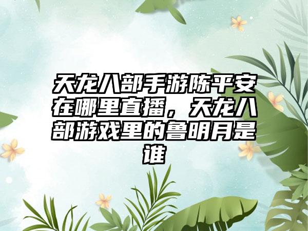 天龙八部手游陈平安在哪里直播，天龙八部游戏里的鲁明月是谁