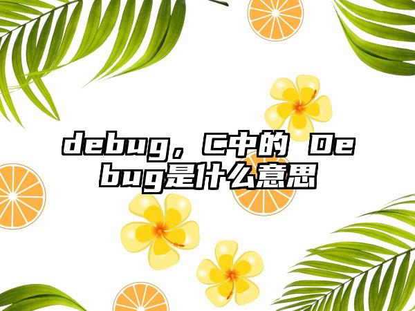 debug,C中的 Debug是什么意思