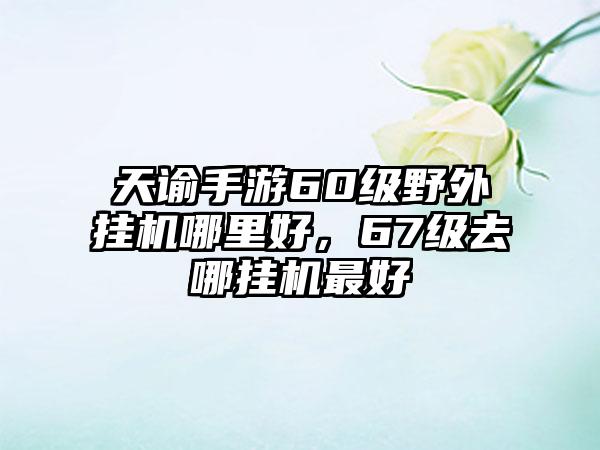 天谕手游60级野外挂机哪里好，67级去哪挂机最好