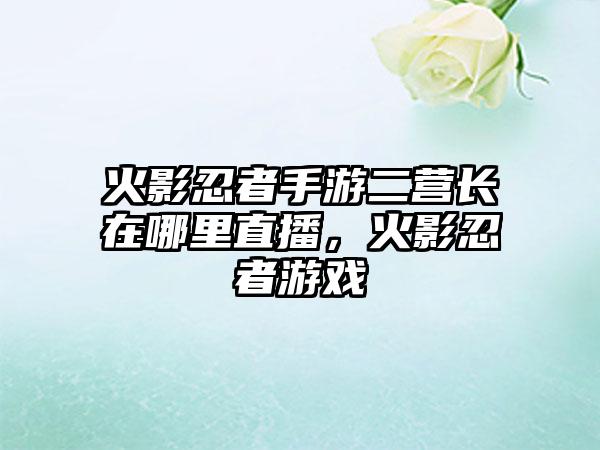 火影忍者手游二营长在哪里直播，火影忍者游戏