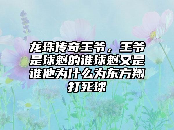 龙珠传奇王爷，王爷是球魁的谁球魁又是谁他为什么为东方翔打死球