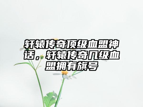 轩辕传奇顶级血盟神话，轩辕传奇几级血盟拥有旗号