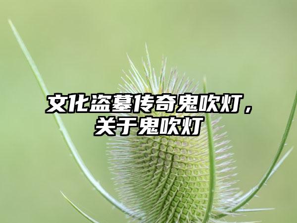 文化盗墓传奇鬼吹灯，关于鬼吹灯