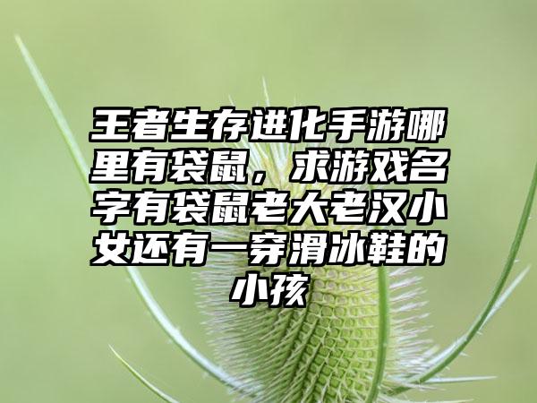 王者生存进化手游哪里有袋鼠，求游戏名字有袋鼠老大老汉小女还有一穿滑冰鞋的小孩
