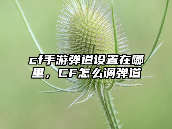 cf手游弹道设置在哪里，CF怎么调弹道