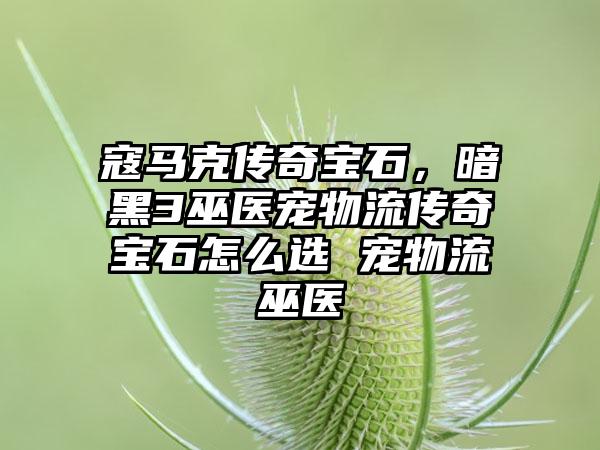 寇马克传奇宝石，暗黑3巫医宠物流传奇宝石怎么选 宠物流巫医