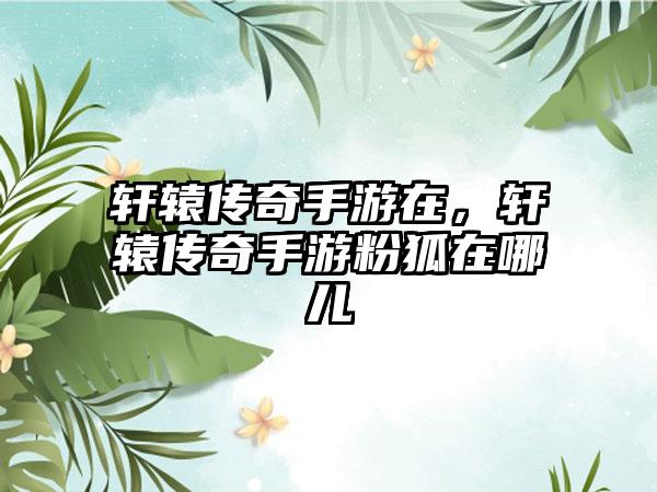 轩辕传奇手游在，轩辕传奇手游粉狐在哪儿