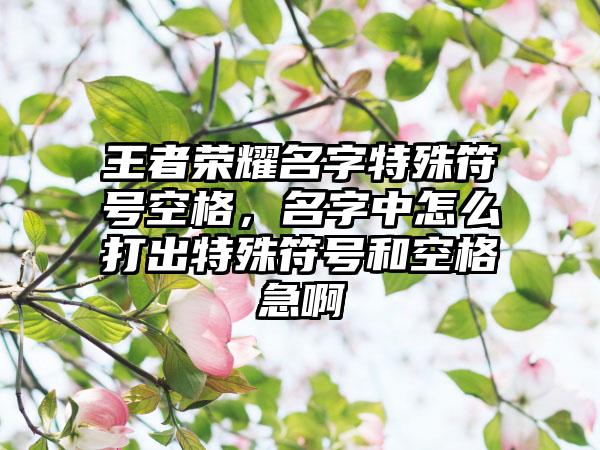 王者荣耀名字特殊符号空格，名字中怎么打出特殊符号和空格急啊