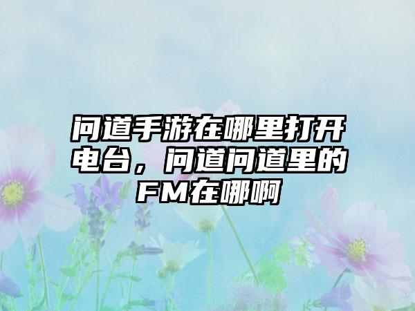 问道手游在哪里打开电台，问道问道里的FM在哪啊
