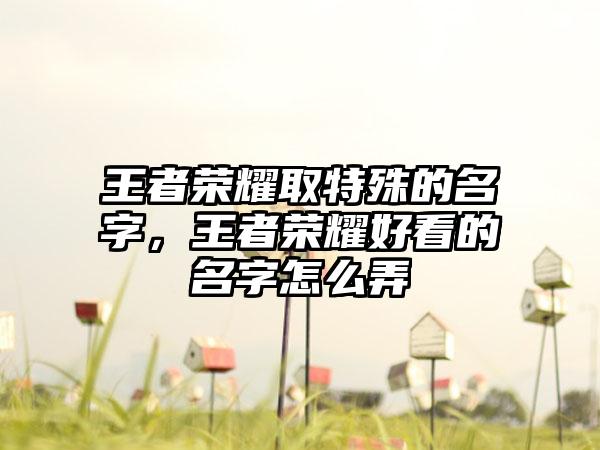 王者荣耀取特殊的名字，王者荣耀好看的名字怎么弄