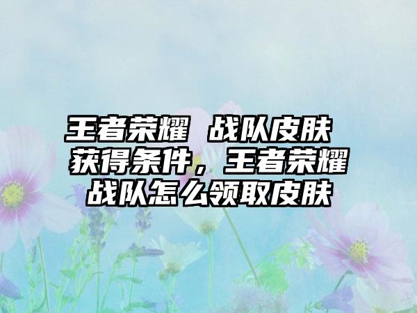王者荣耀 战队皮肤 获得条件，王者荣耀战队怎么领取皮肤