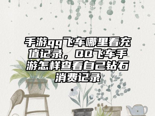 手游qq飞车哪里看充值记录，QQ飞车手游怎样查看自己钻石消费记录